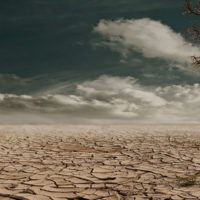 Salinizzazione del suolo: come evitarla con l’irrigazione a goccia terra in fase di desertificazione